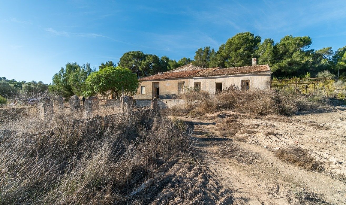 Reventa - Country house - Pilar de la Horadada - Pinar de la Perdiz