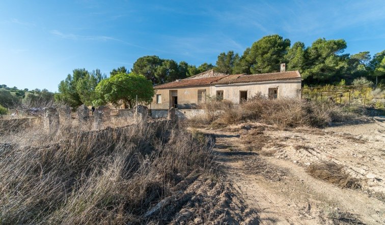 Reventa - Country house - Pilar de la Horadada - Pinar de la Perdiz