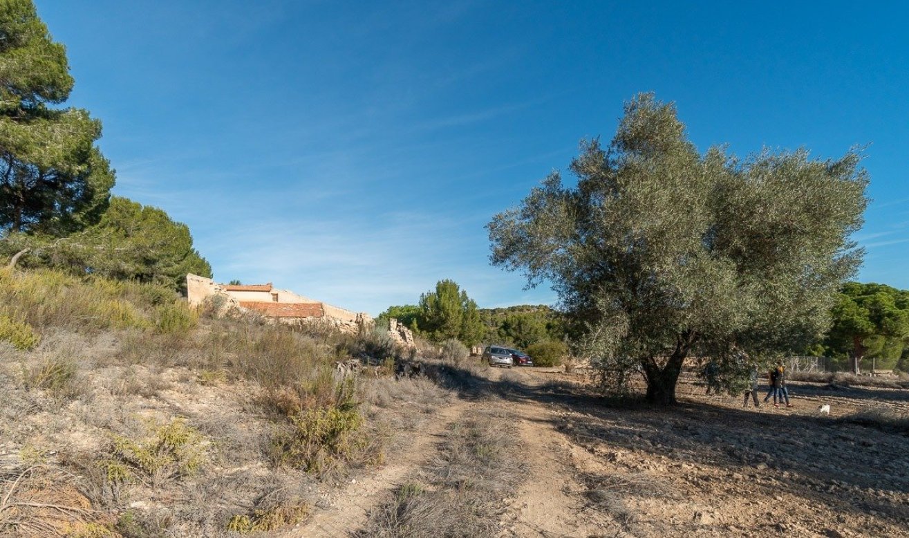 Reventa - Country house - Pilar de la Horadada - Pinar de la Perdiz