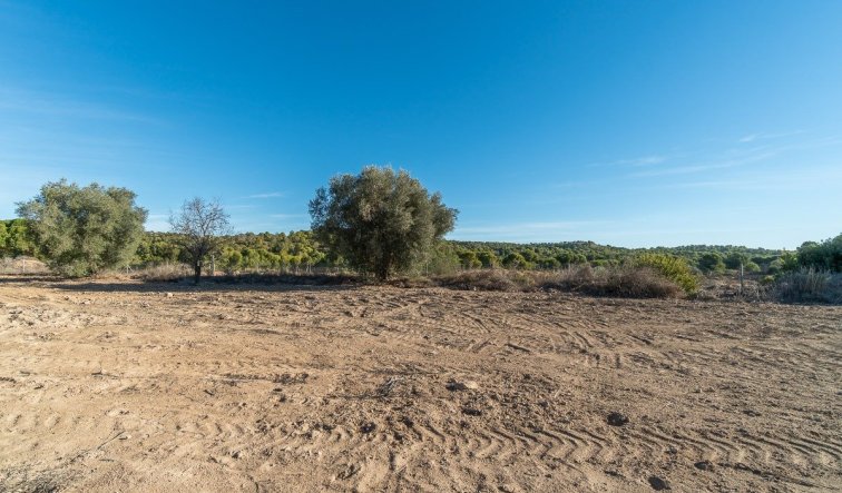 Reventa - Country house - Pilar de la Horadada - Pinar de la Perdiz