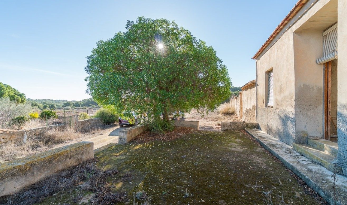 Reventa - Country house - Pilar de la Horadada - Pinar de la Perdiz