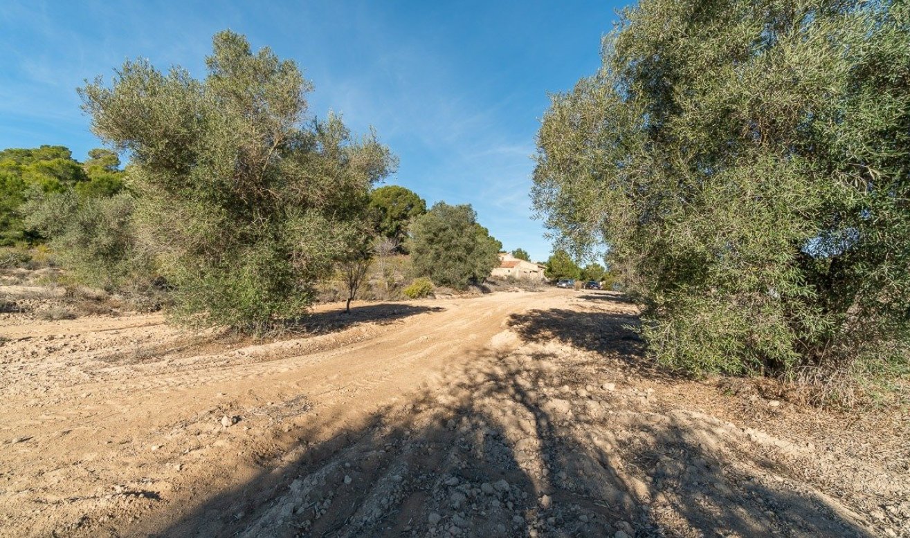 Reventa - Country house - Pilar de la Horadada - Pinar de la Perdiz