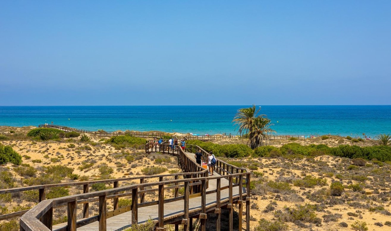 New Build - Apartment / flat - Arenales del Sol - Arenales Del Sol