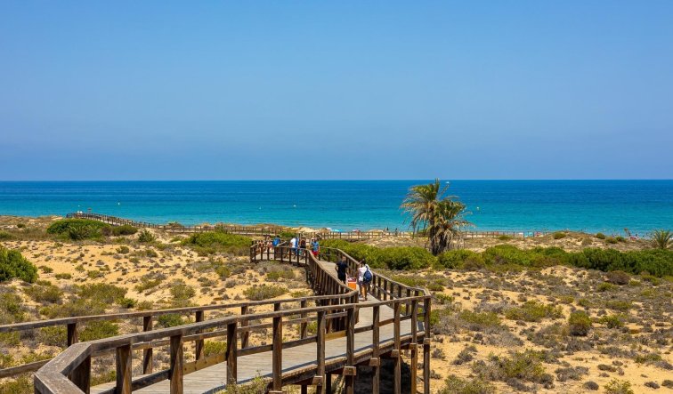 New Build - Apartment / flat - Arenales del Sol - Arenales Del Sol