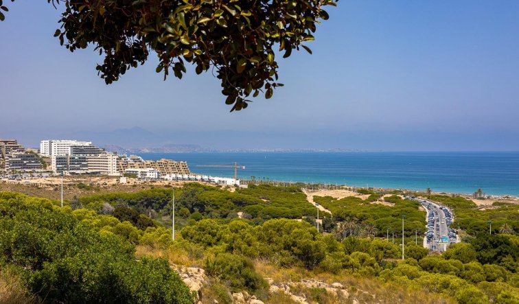 New Build - Apartment / flat - Arenales del Sol - Arenales Del Sol