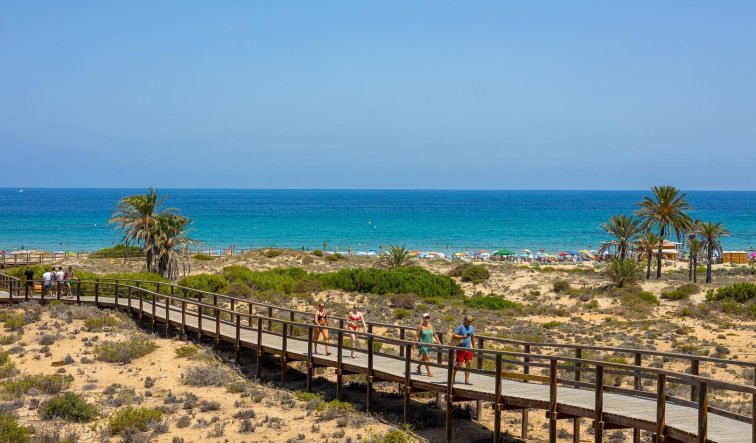 New Build - Apartment / flat - Arenales del Sol - Arenales Del Sol