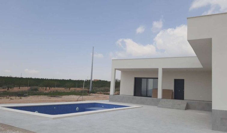 Nouvelle construction - Villa - Pinoso