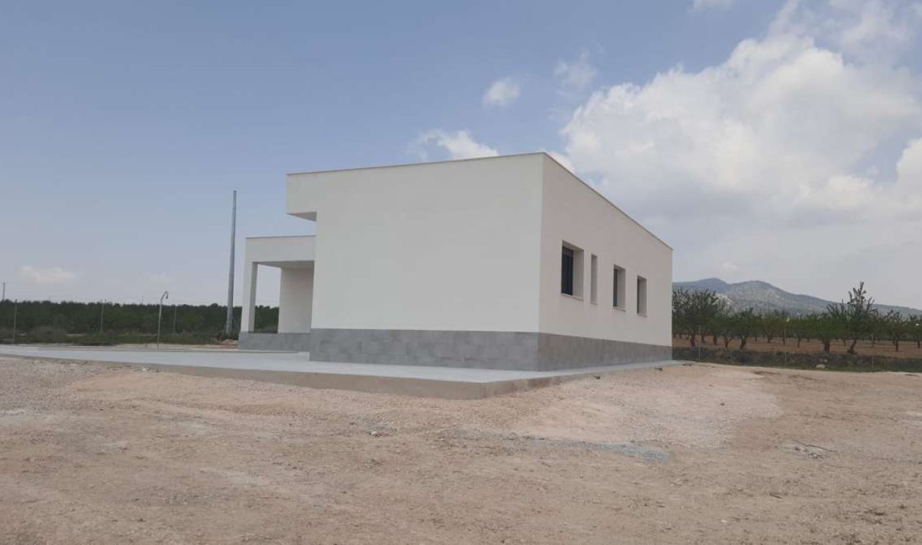 Nouvelle construction - Villa - Pinoso
