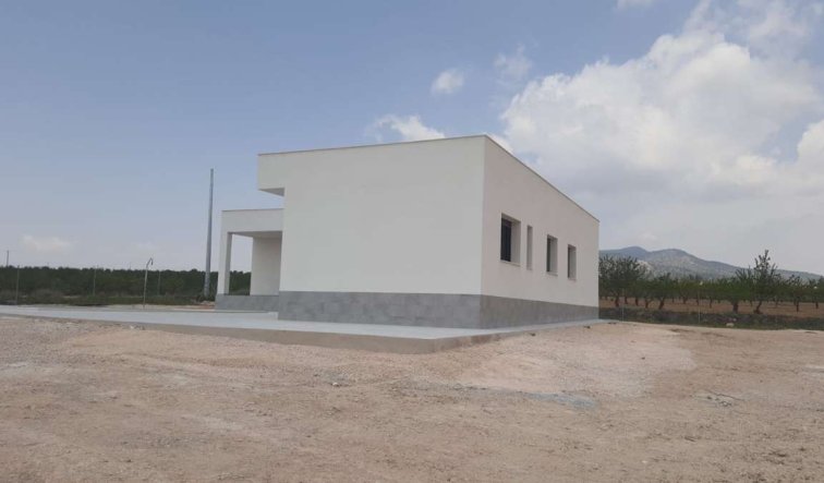 Nouvelle construction - Villa - Pinoso