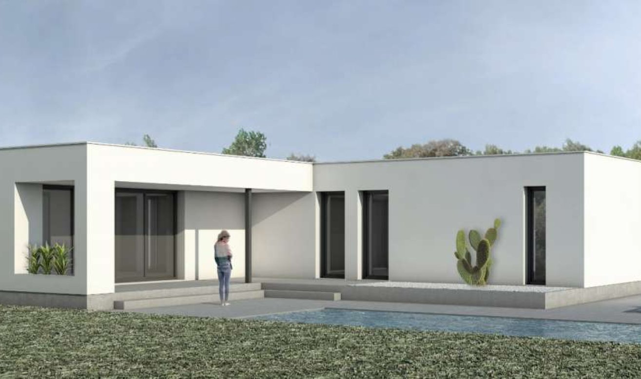 Nouvelle construction - Villa - Pinoso