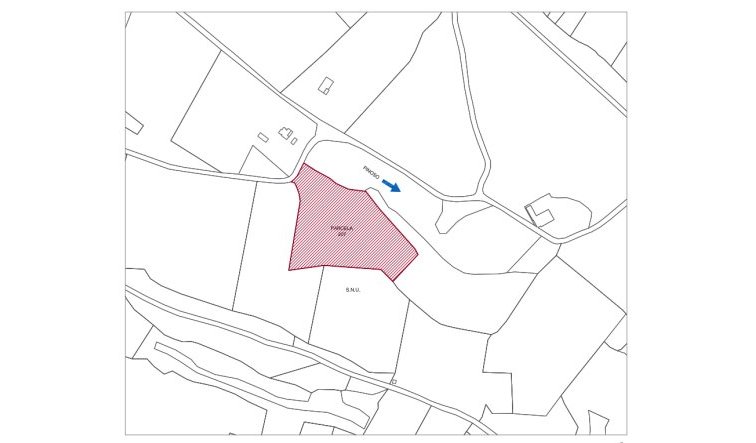 Nouvelle construction - Villa - Pinoso