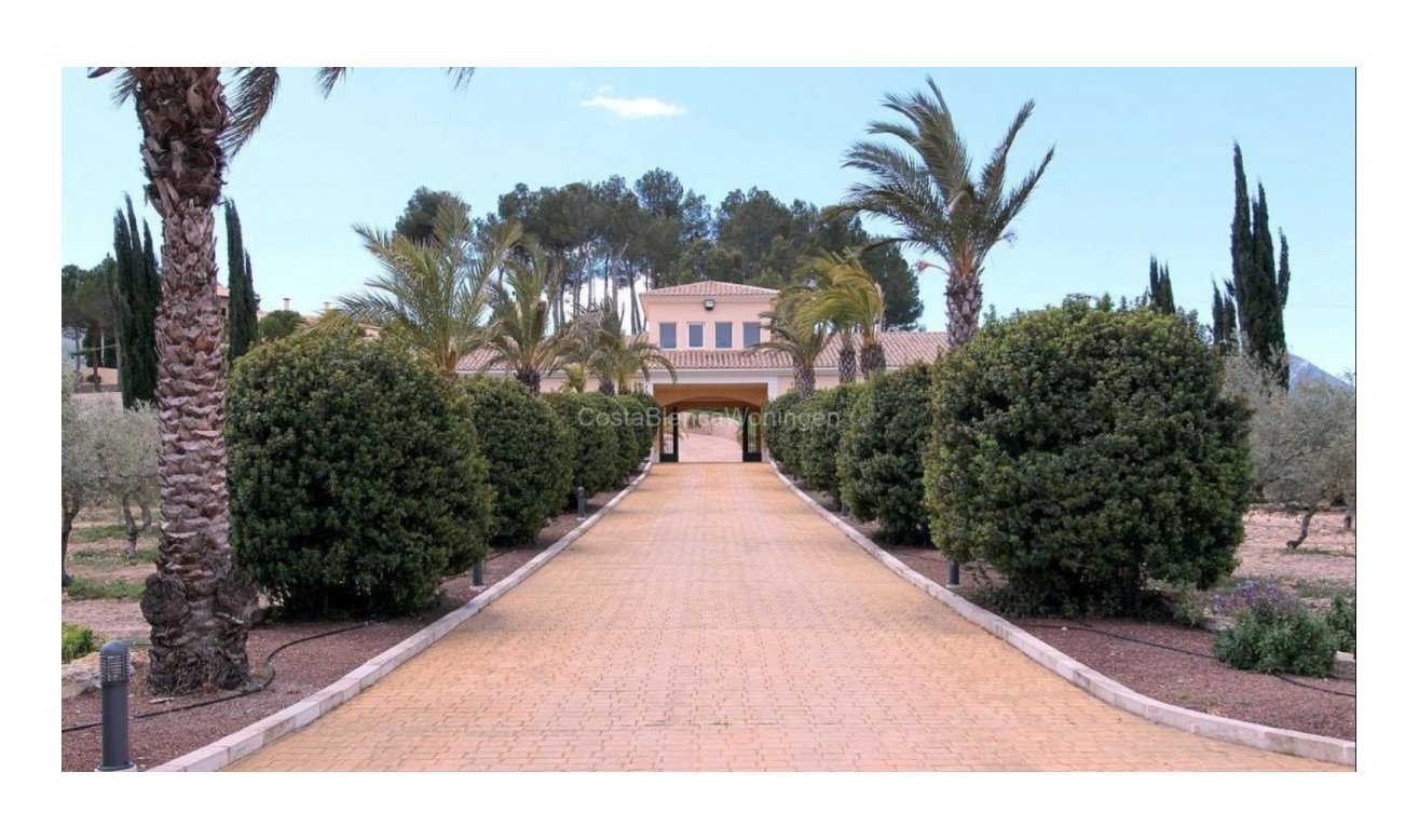 Resale - Villa - Penàguila