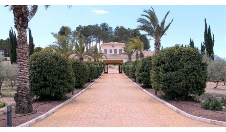 Resale - Villa - Penàguila