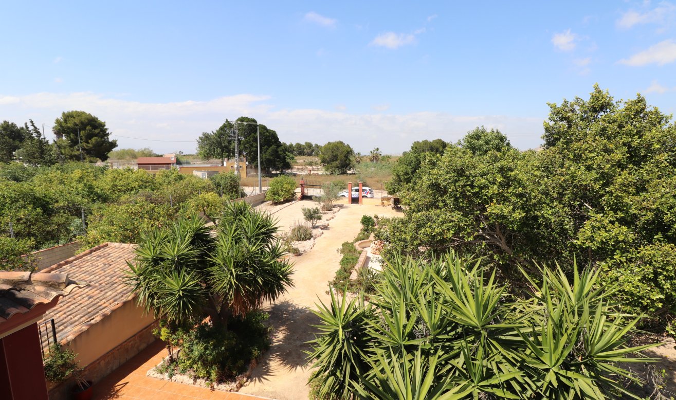 Reventa - Country Property - Algorfa - Algorfa - Country