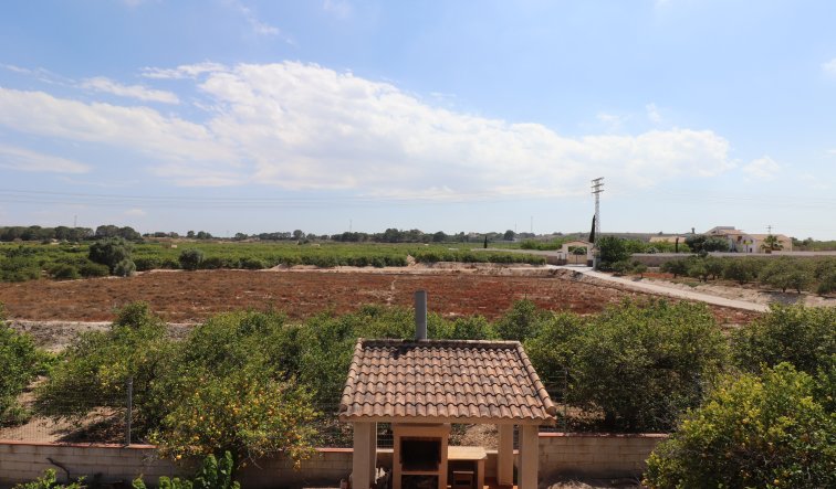 Reventa - Country Property - Algorfa - Algorfa - Country