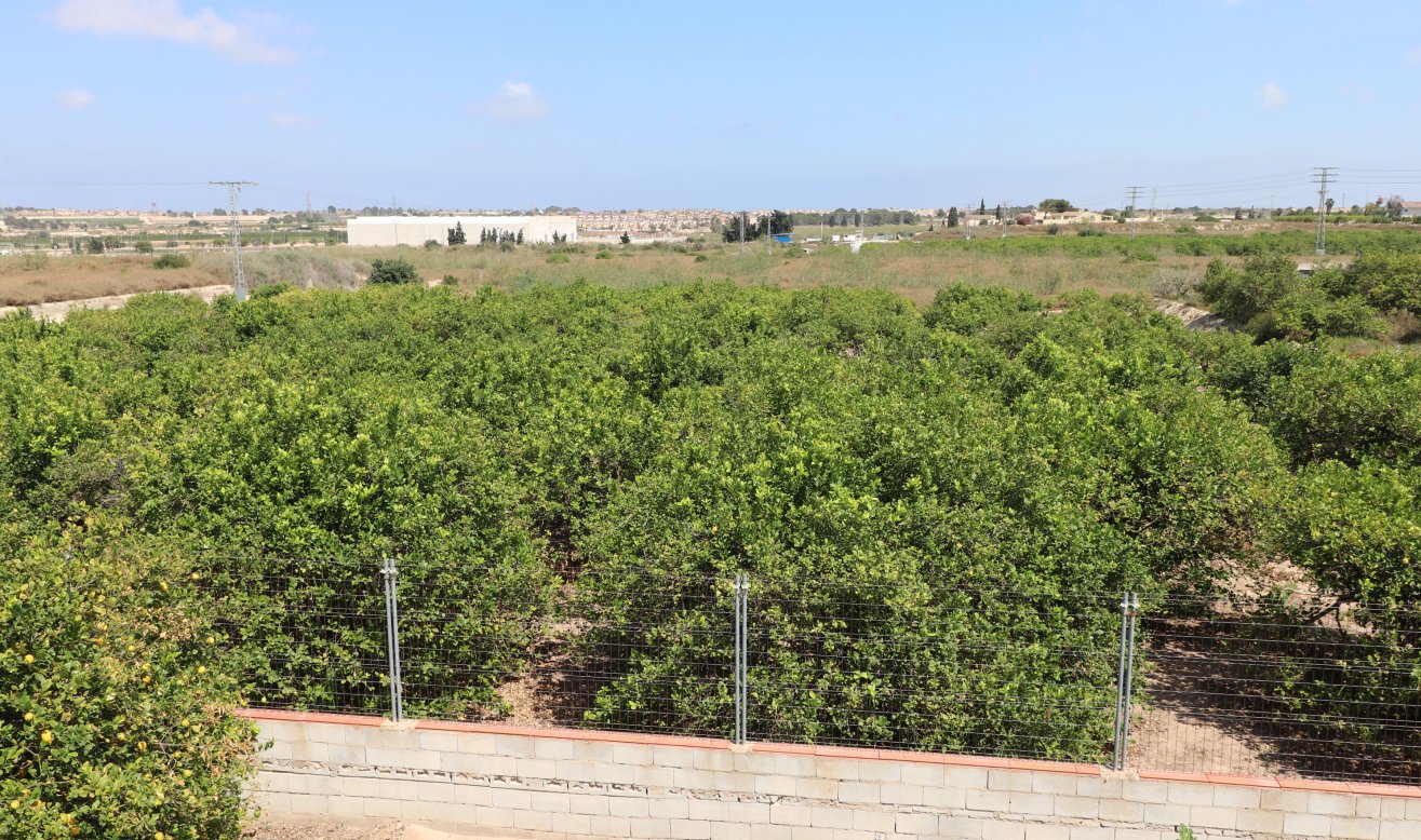 Reventa - Country Property - Algorfa - Algorfa - Country