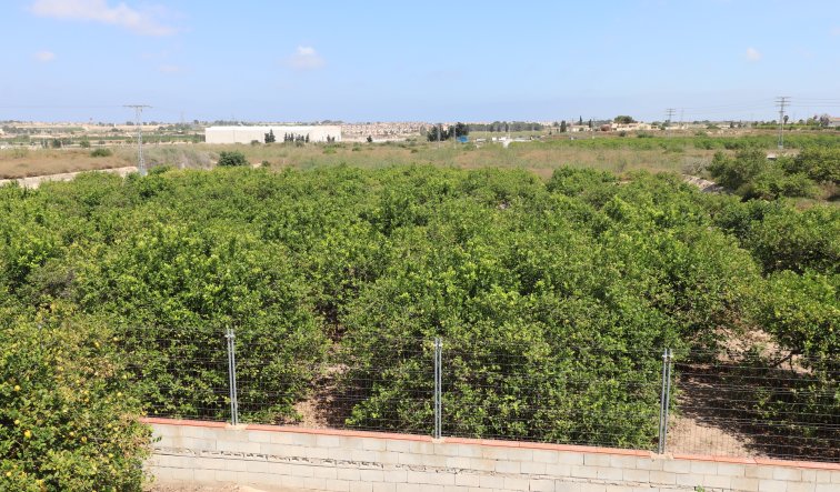 Reventa - Country Property - Algorfa - Algorfa - Country