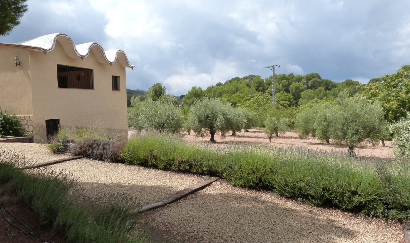 Reventa - Country Property - Ibi - Ibi - Country