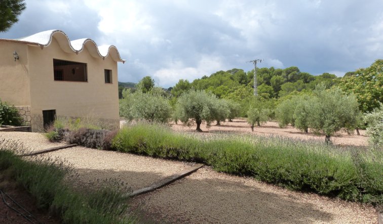 Reventa - Country Property - Ibi - Ibi - Country
