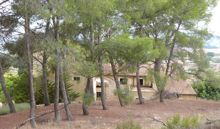 Reventa - Country Property - Ibi - Ibi - Country