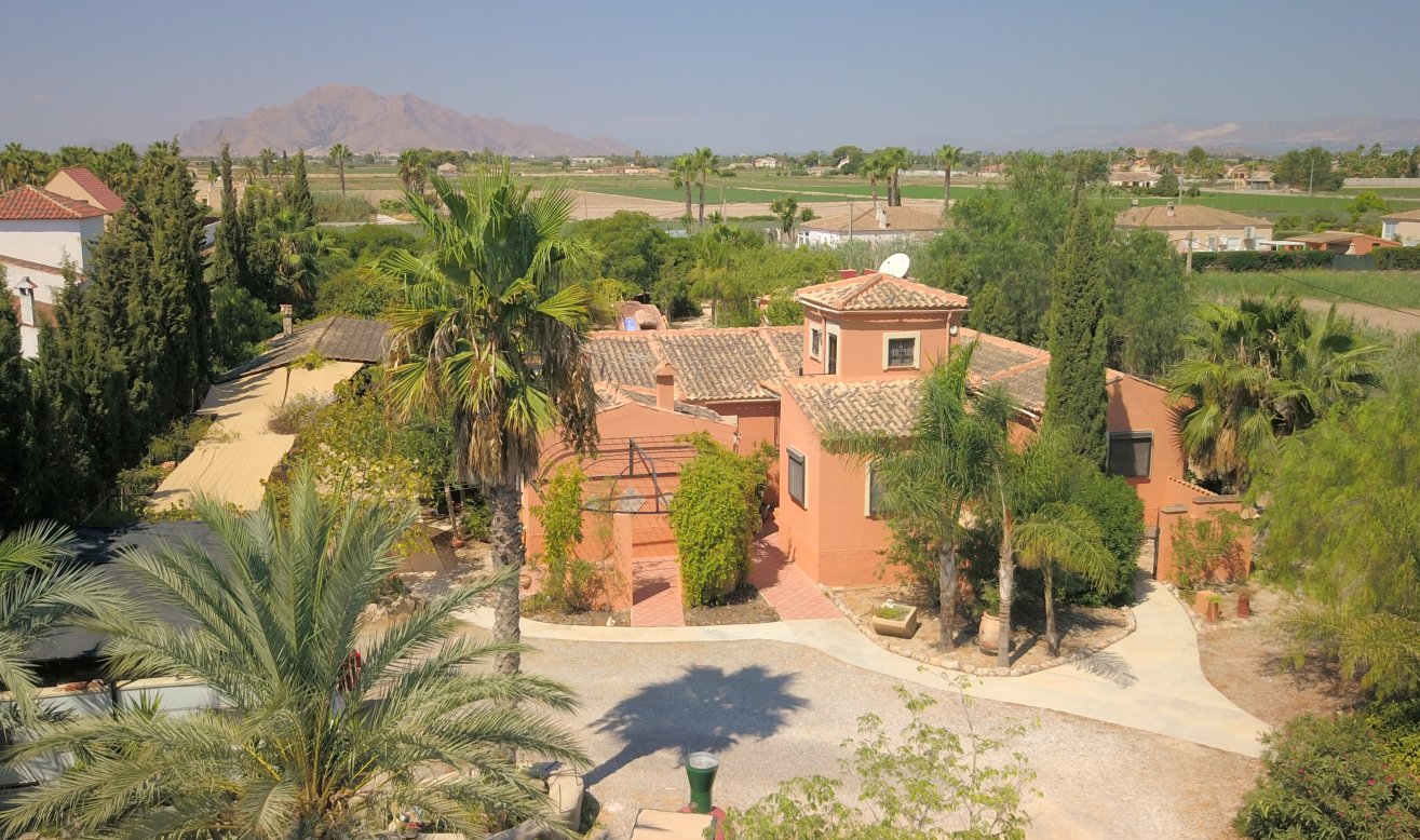 Reventa - Country Property - Catral - Catral - Country