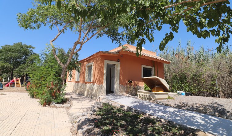 Reventa - Country Property - Catral - Catral - Country