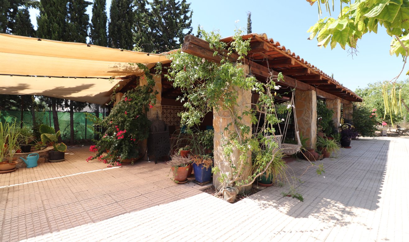 Reventa - Country Property - Catral - Catral - Country