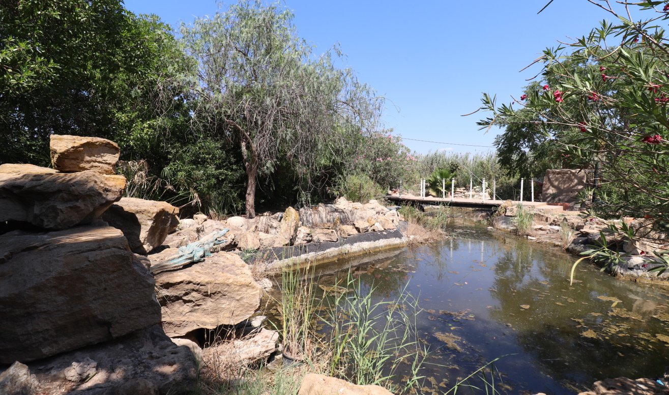 Reventa - Country Property - Catral - Catral - Country