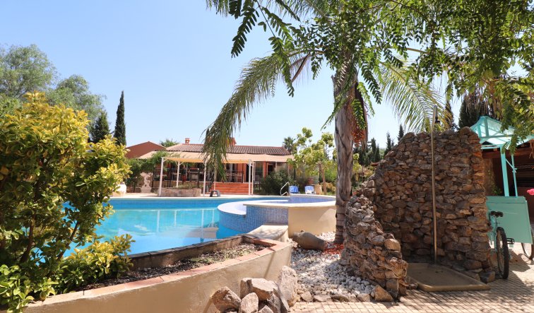 Reventa - Country Property - Catral - Catral - Country