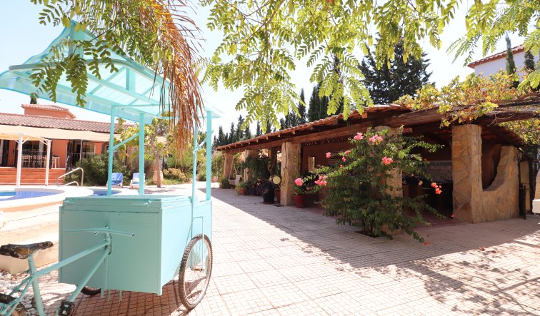Reventa - Country Property - Catral - Catral - Country
