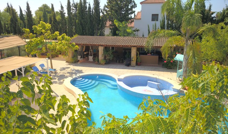 Reventa - Country Property - Catral - Catral - Country