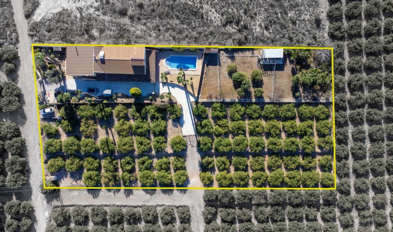 Reventa - Finca / Country Property - Orihuela - La Matanza