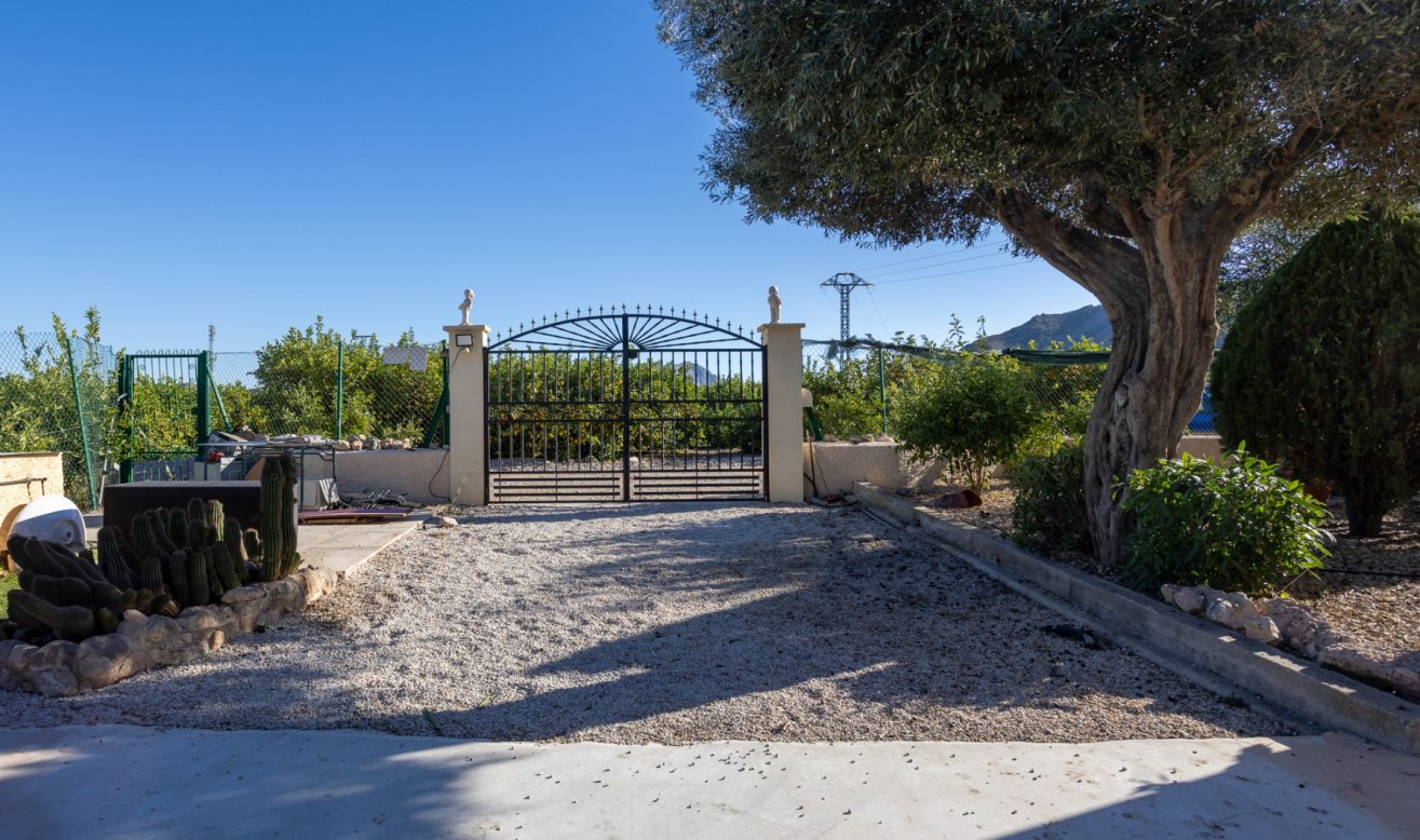 Reventa - Finca / Country Property - Orihuela - La Matanza