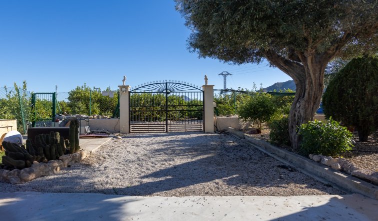 Reventa - Finca / Country Property - Orihuela - La Matanza