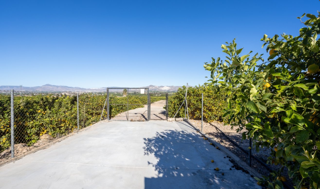 Reventa - Finca / Country Property - Orihuela - La Matanza