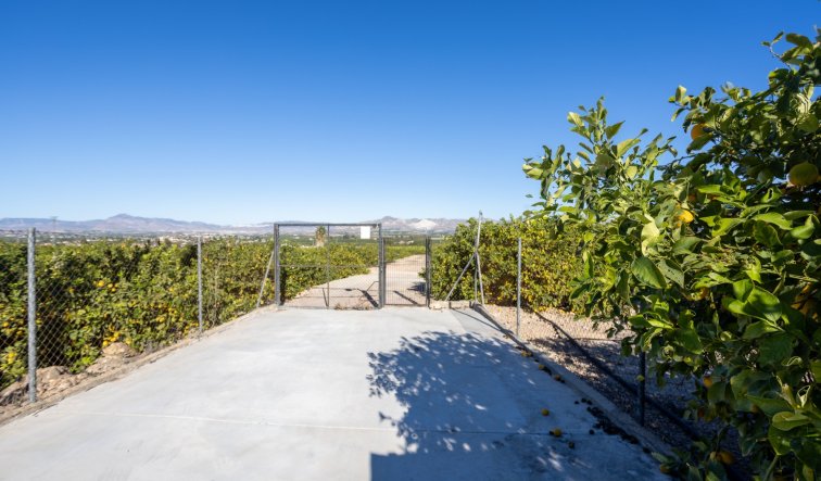 Reventa - Finca / Country Property - Orihuela - La Matanza