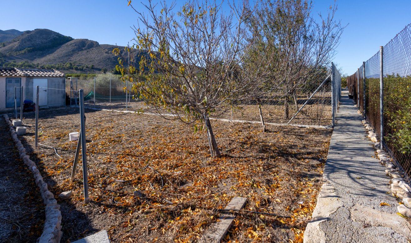 Reventa - Finca / Country Property - Orihuela - La Matanza