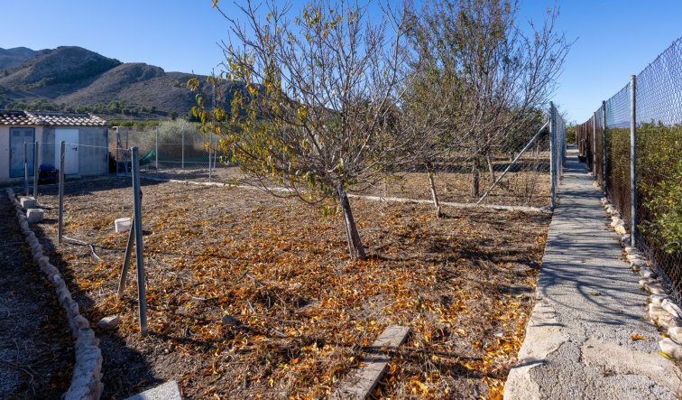Reventa - Finca / Country Property - Orihuela - La Matanza