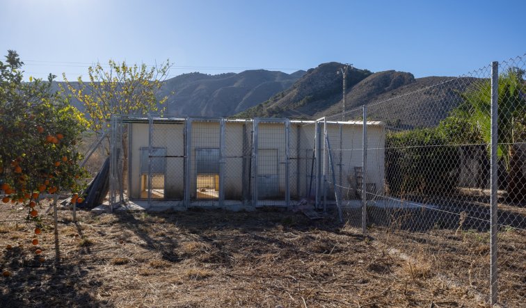 Reventa - Finca / Country Property - Orihuela - La Matanza