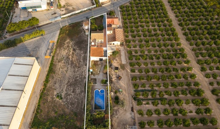 Resale - Finca / Country Property - Orihuela