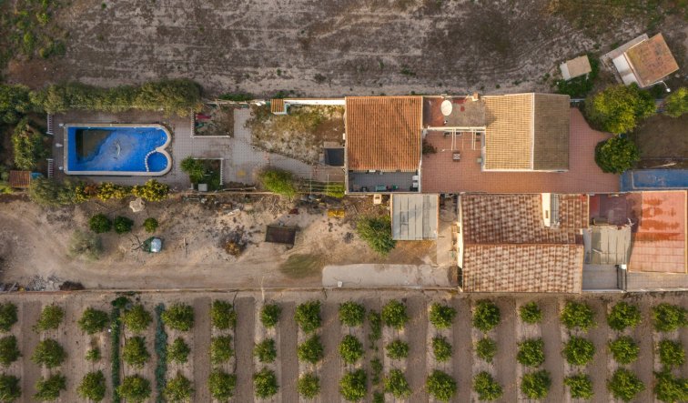 Resale - Finca / Country Property - Orihuela