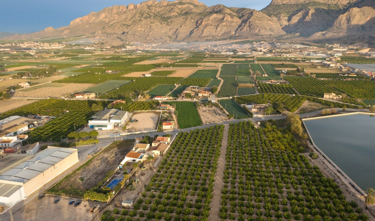 Resale - Finca / Country Property - Orihuela