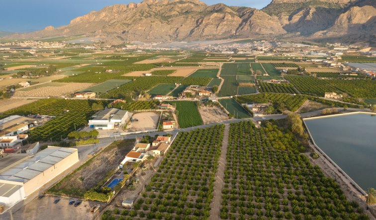 Resale - Finca / Country Property - Orihuela