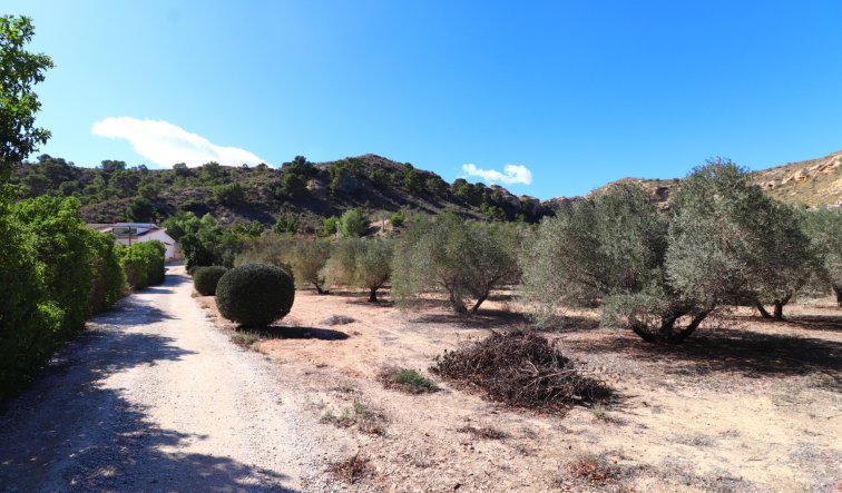 Reventa - Country Property - Aspe - Aspe - Country