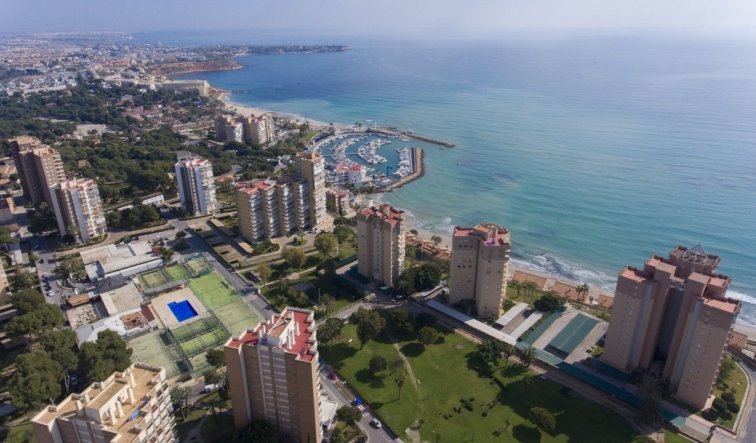 Obra nueva - Ático - Orihuela Costa - Campoamor