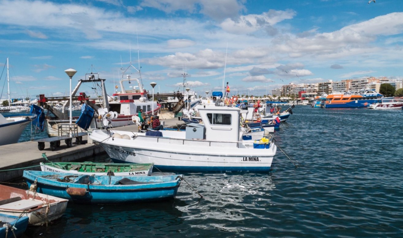 Obra nueva - Apartamento / piso - Gran Alacant