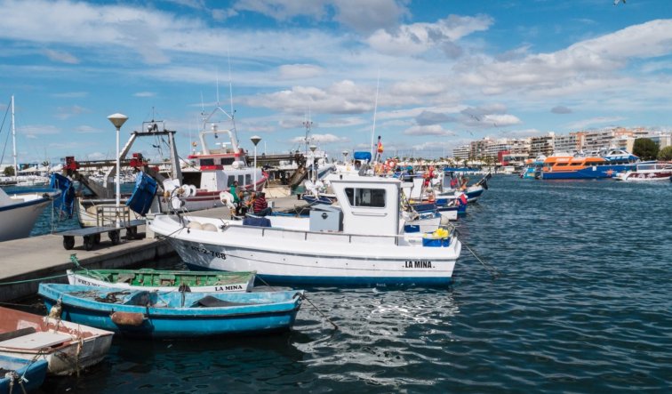 Obra nueva - Apartamento / piso - Gran Alacant