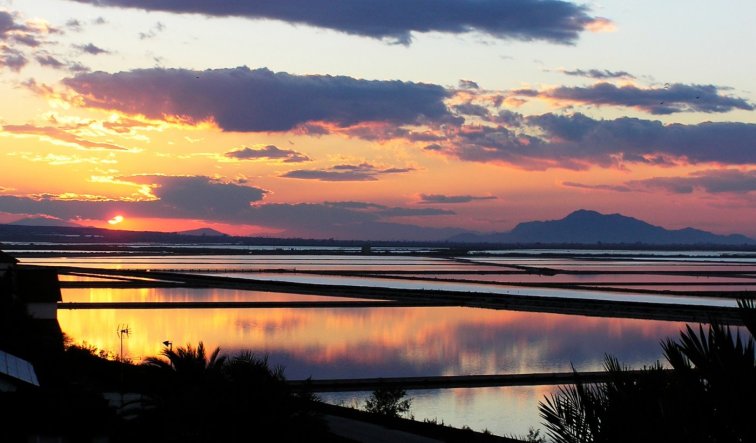 Obra nueva - Apartamento / piso - Gran Alacant