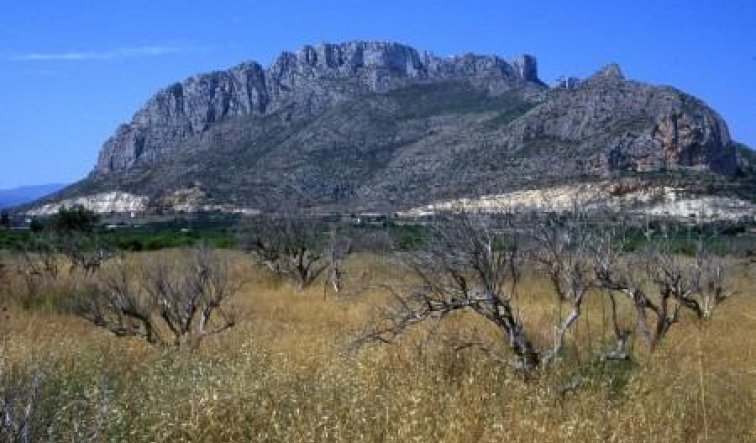 Obra nueva - Apartamento / piso - Denia - El Verger