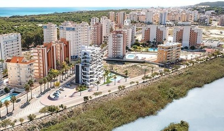 Obra nueva - Ático - Guardamar del Segura - Puerto